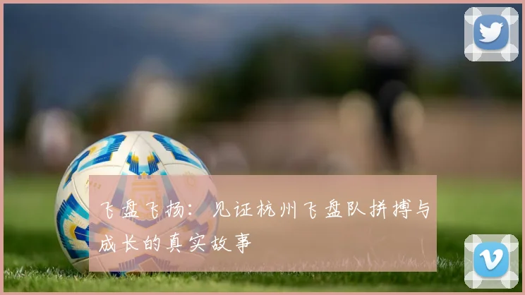 飞盘飞扬：见证杭州飞盘队拼搏与成长的真实故事