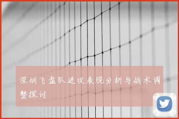 深圳飞盘队进攻表现分析与战术调整探讨