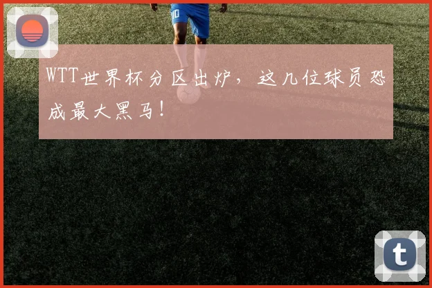 WTT世界杯分区出炉,这几位球员恐成最大黑马!