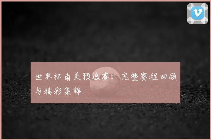 世界杯南美预选赛：完整赛程回顾与精彩集锦
