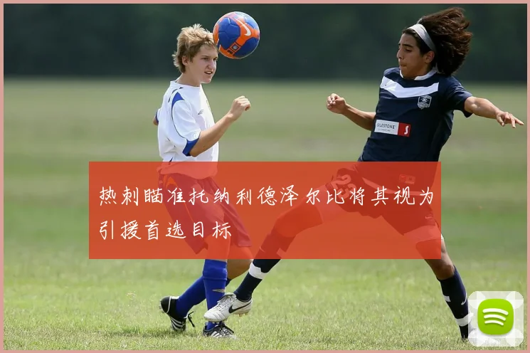 热刺瞄准托纳利德泽尔比将其视为引援首选目标