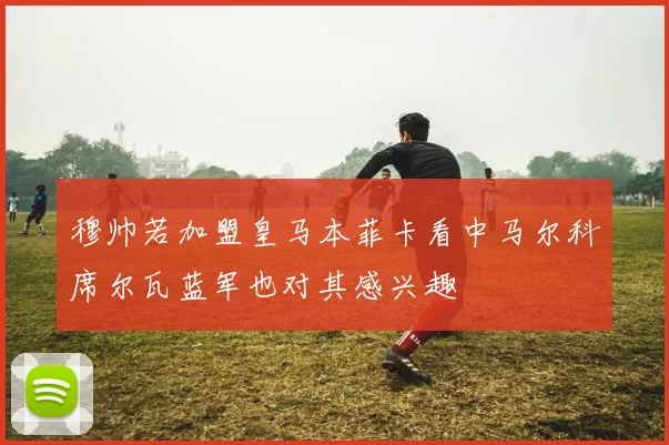 穆帅若加盟皇马本菲卡看中马尔科席尔瓦蓝军也对其感兴趣