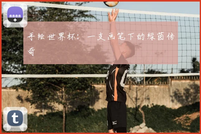 手绘世界杯:一支画笔下的绿茵传奇